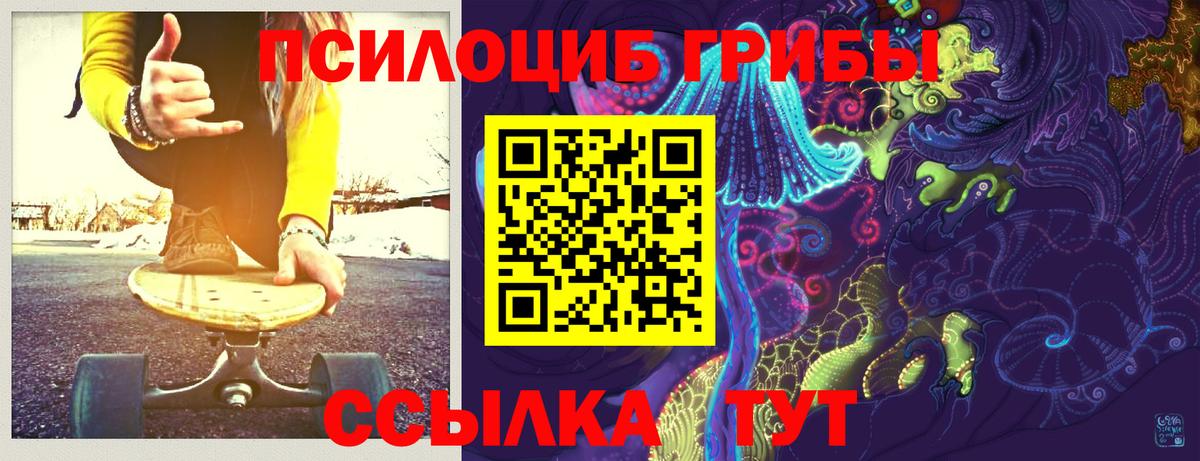 Псилоцибиновые грибы Psilocybine cubensis Уссурийск